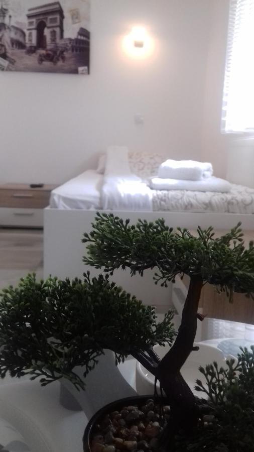 Mesecev Konak Bed & Breakfast Nis Exterior photo